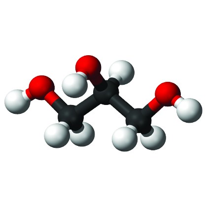 BASE-VG-00