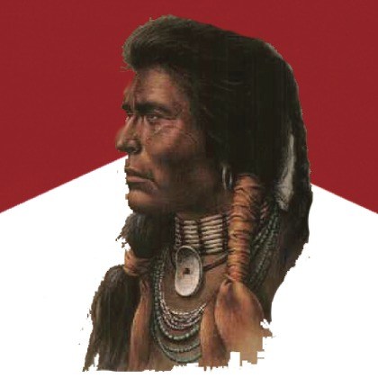 FLAVOR-APACHE