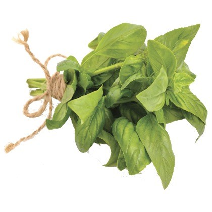 FLAVOR-BASIL