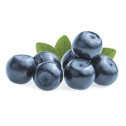 FLAVOR-BILLBERRY