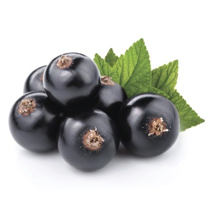 FLAVOR-BLACK-CURRANT