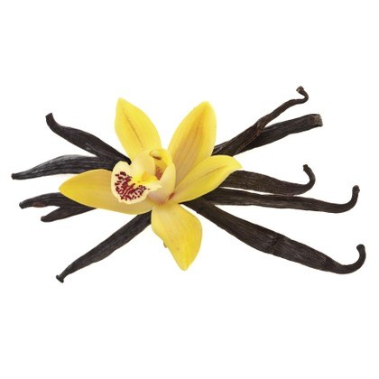 FLAVOR-BLACK-VANILLA