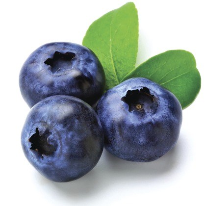 FLAVOR-BLUEBERRY