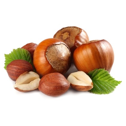 FLAVOR-HAZELNUT