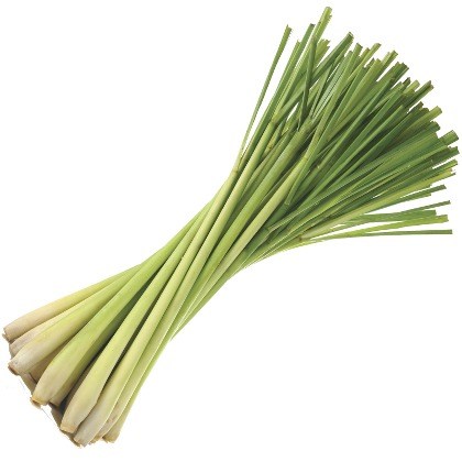 FLAVOR-LEMONGRASS