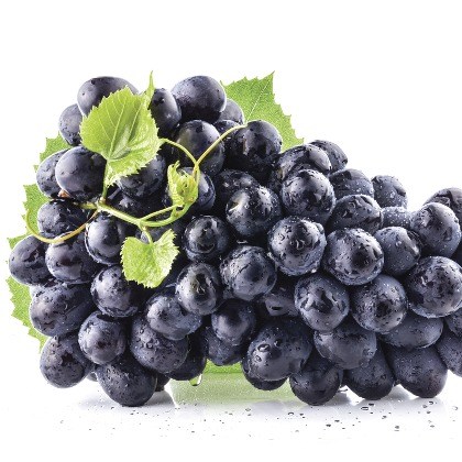 FLAVOR-MUSCAT
