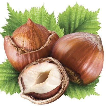 FLAVOR-NOCCIOLA