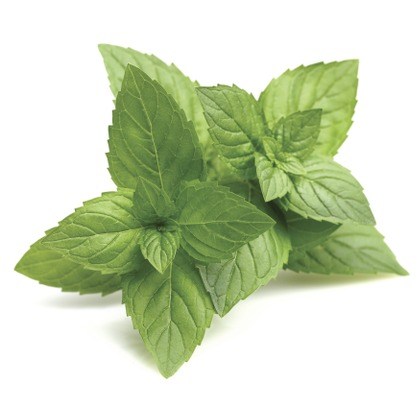 FLAVOR-PEPPERMINT