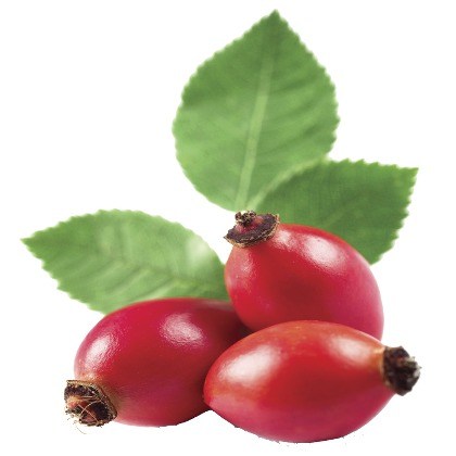 FLAVOR-ROSEHIP