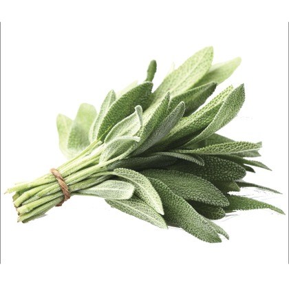 FLAVOR-SAGE