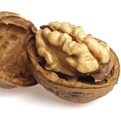 FLAVOR-WALNUT